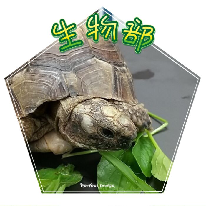 生徒会の果てまで行ってK