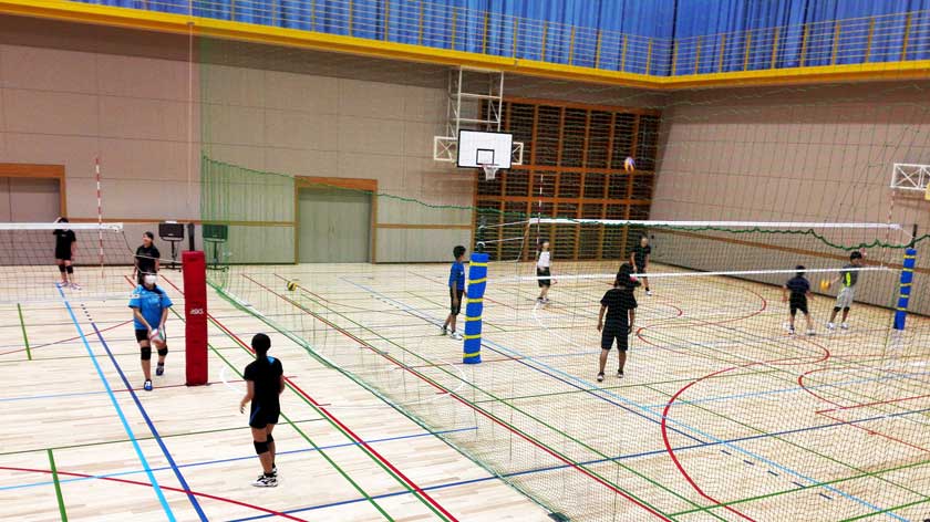 7. Arena