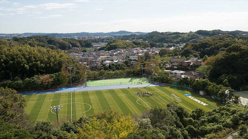 19. Main Field Grounds