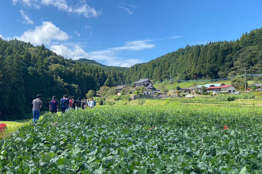 Food Development Course (Ibaraki Prefecture)