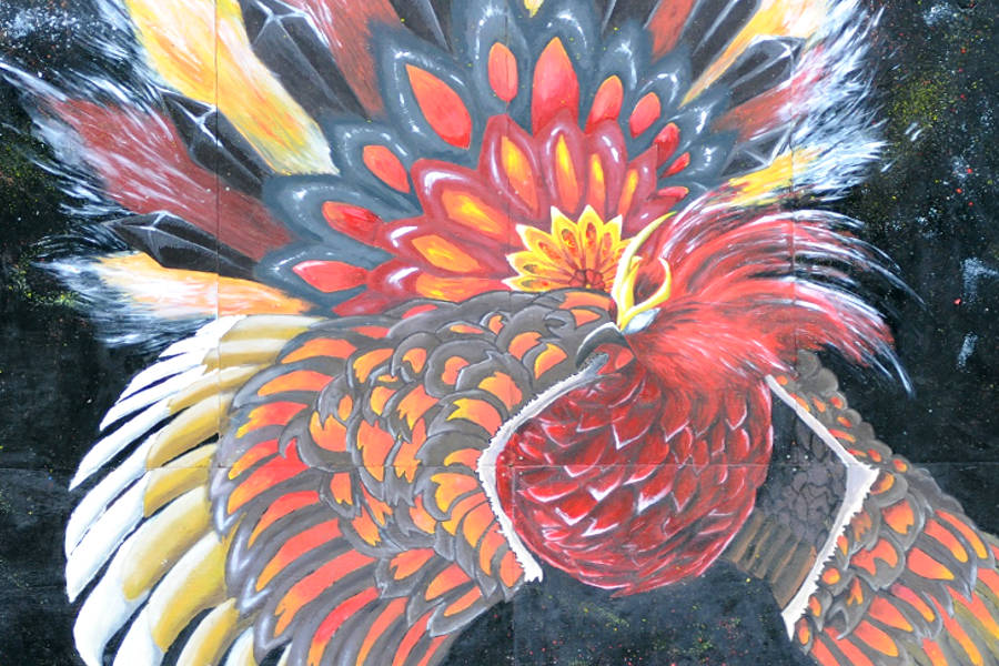 体育祭
